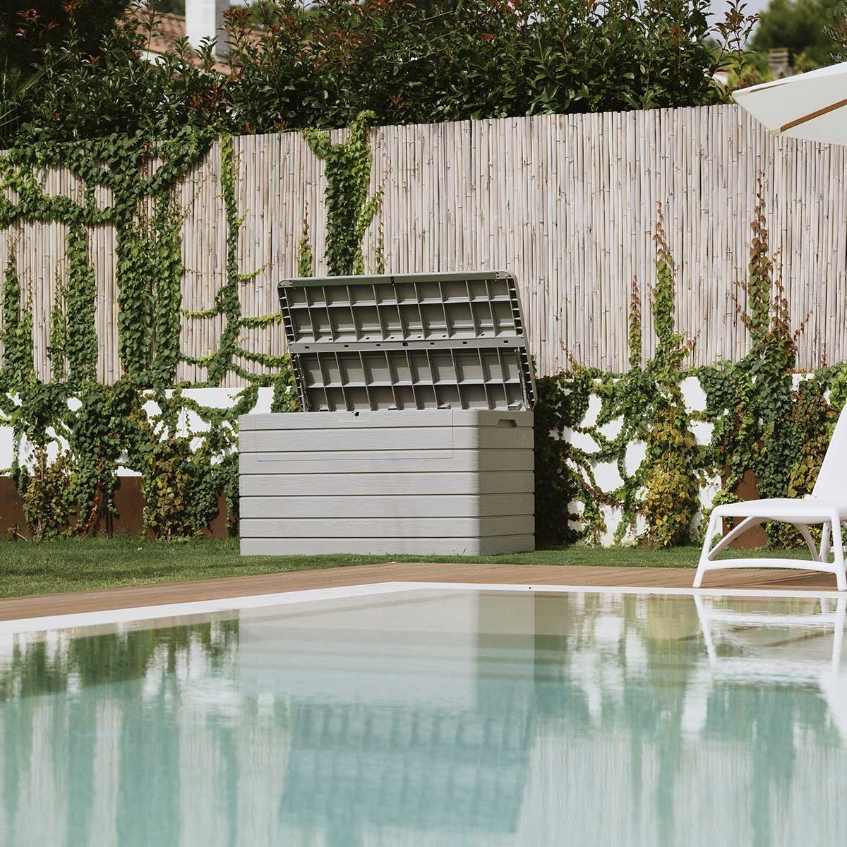 Image with text section